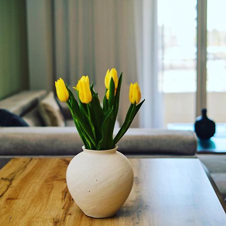 “The Elysian” City Center Apartment เทสซาโลนิกิ ภายนอก รูปภาพ